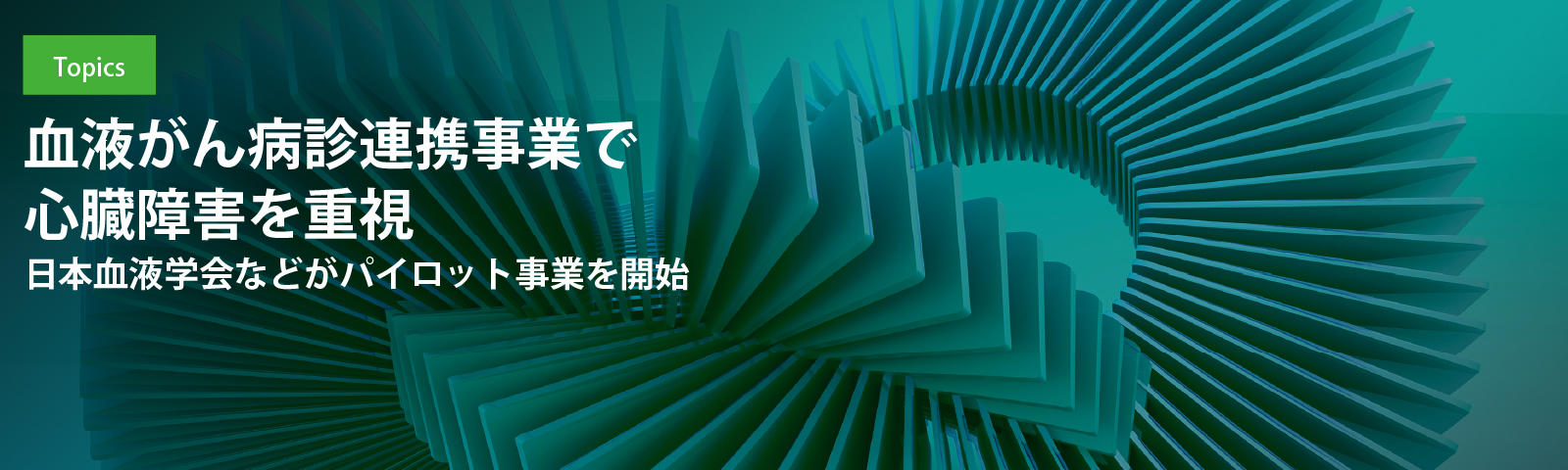 血液がん病診連携事業で心臓障害を重視